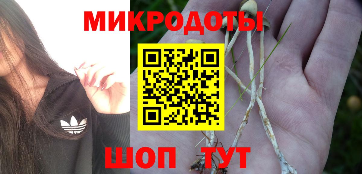 Кулебаки  Галлюциногенные грибы ЛСД  Вход с VPN  Псилоцибиновые грибы мицелий 